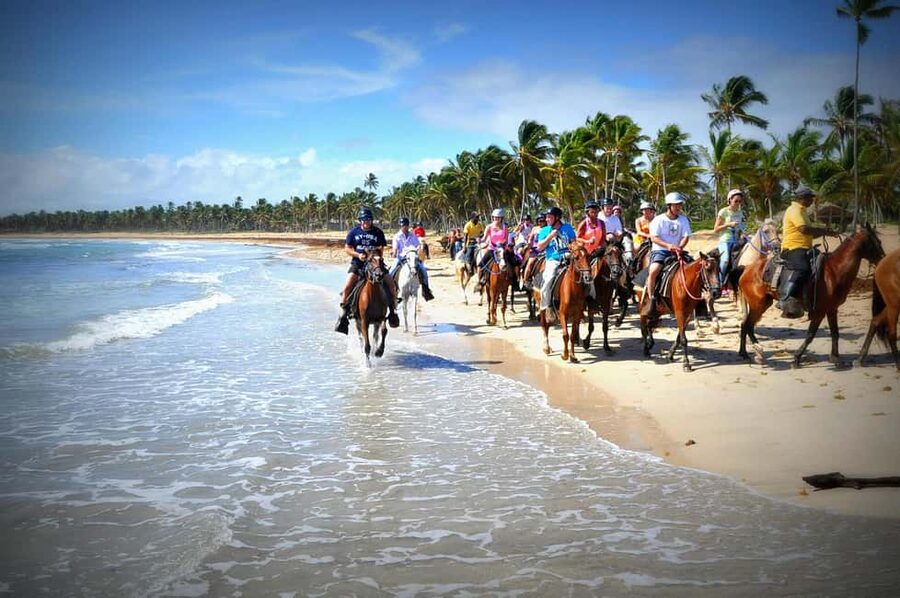 Punta Cana: Horseback Riding through Stunning Beaches - Choosing your horse and getting control basics (before you move out)
