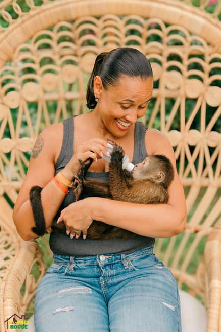 Punta Cana: Interactive Experience at Monkey House - Key things to know before you go