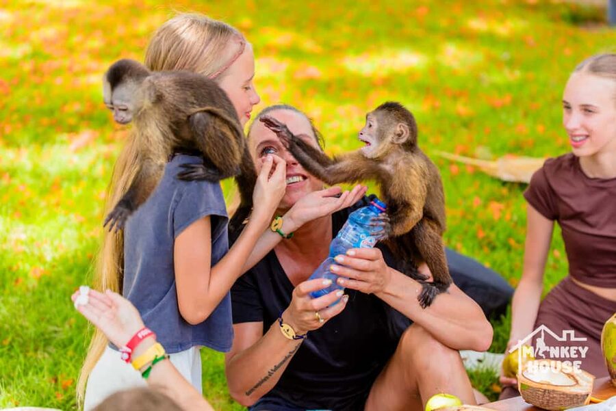 Punta Cana: Interactive Experience at Monkey House - Why the Monkey House works so well in Punta Cana