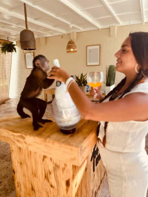 Punta Cana: Interactive Experience at Monkey House - Practical tips for a smooth day in the monkey zone