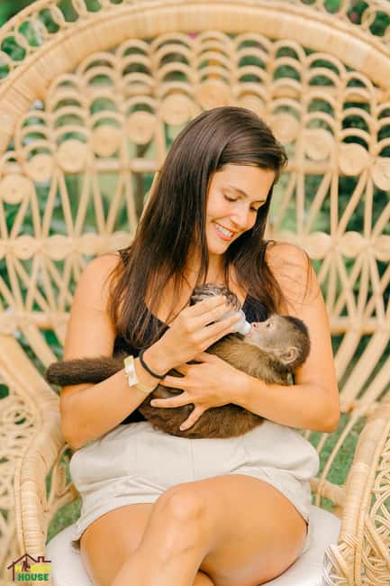 Punta Cana: Interactive Experience at Monkey House - Who should book this tour (and who should skip)