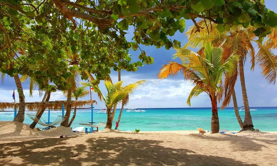 Punta Cana: Isla Catalina Snorkeling Tour with Lunch - A full-day catamaran day trip from La Romana or Bayahíbe