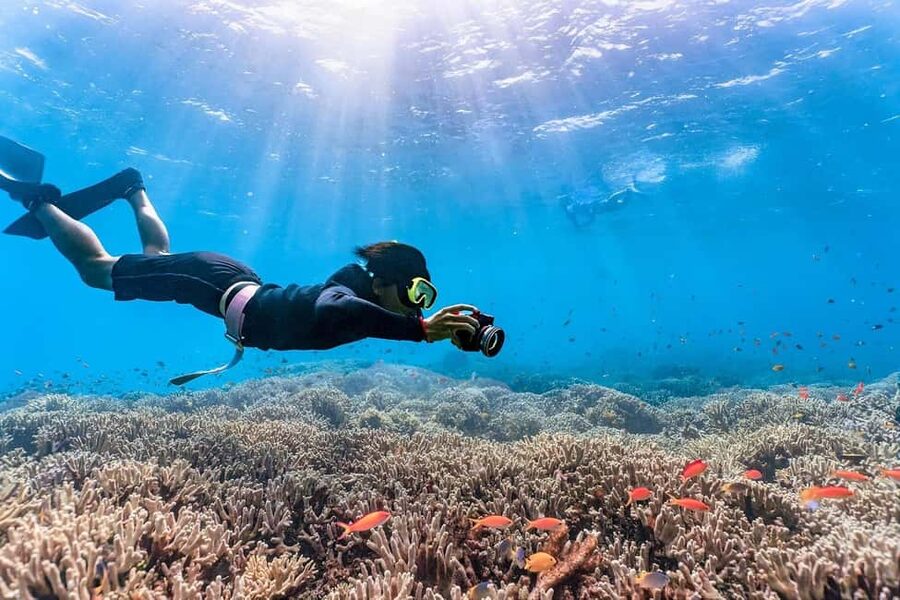 Punta Cana: Island escape to catalina • snorkeling & lunch - Getting There: Pickup, the Coach Ride, and What Your Morning Looks Like