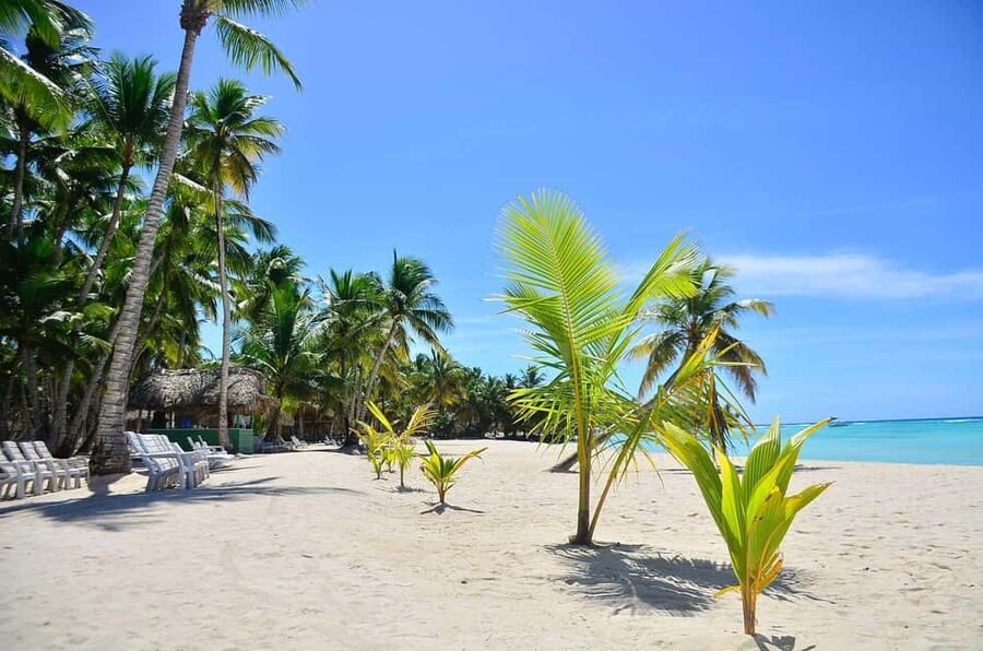 Punta cana: Island Escape to Saona • catamaran & Beach lunch - The Coach and Photo/Break Stops: How to Keep Your Day Comfortable