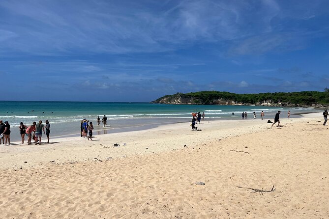 Punta Cana Jungle Buggy Tour: Macao Beach Visit and Cenote Swim - Coffee, Chocolate, and Mama Juana at a Dominican House