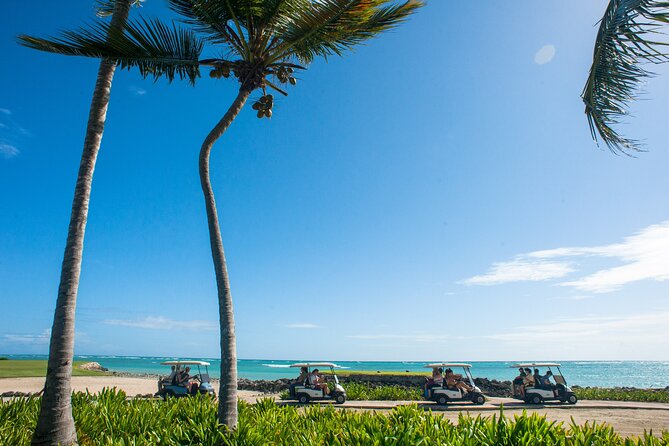 Punta Cana Lagoon Tour with Lunch, Boat Cruise, Open Bar - The Marina Puntacana catamaran ride with rum, beer, soda, fruit
