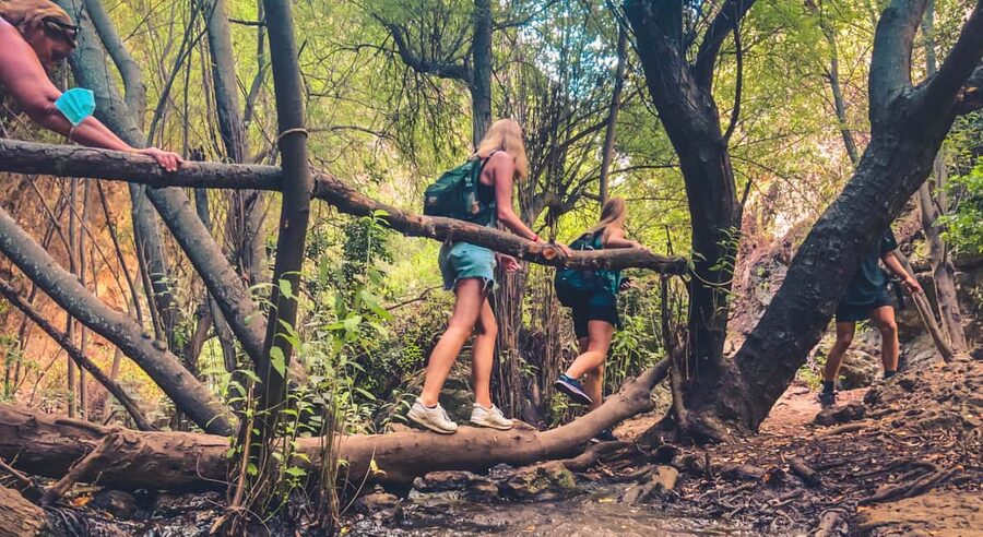 Punta Cana: Los Haitises Hike & Kayaking Mangroves - Caves Visit: What’s Included and How to Think About It