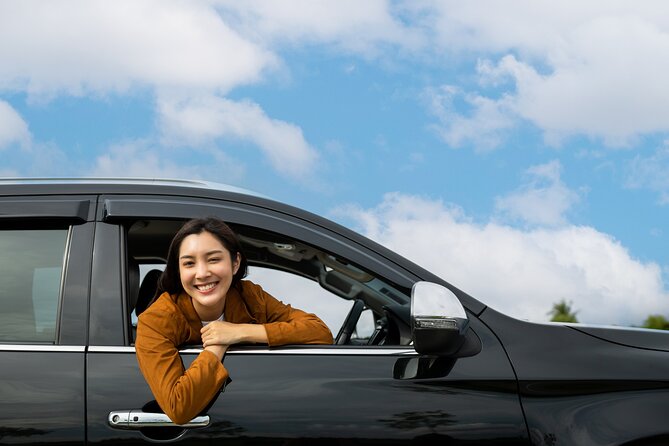 Punta Cana Luxury Private Transfers Roundtrip service - Should you book this roundtrip private transfer?