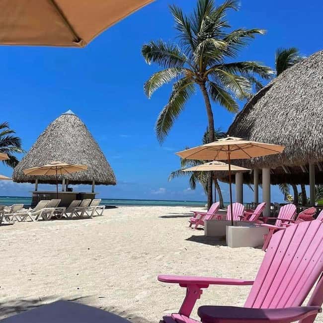 Punta Cana Luxury Snorkel & Beach Club Day at Playa Blanca - Snorkeling in clear, shallow water: what the reef time feels like