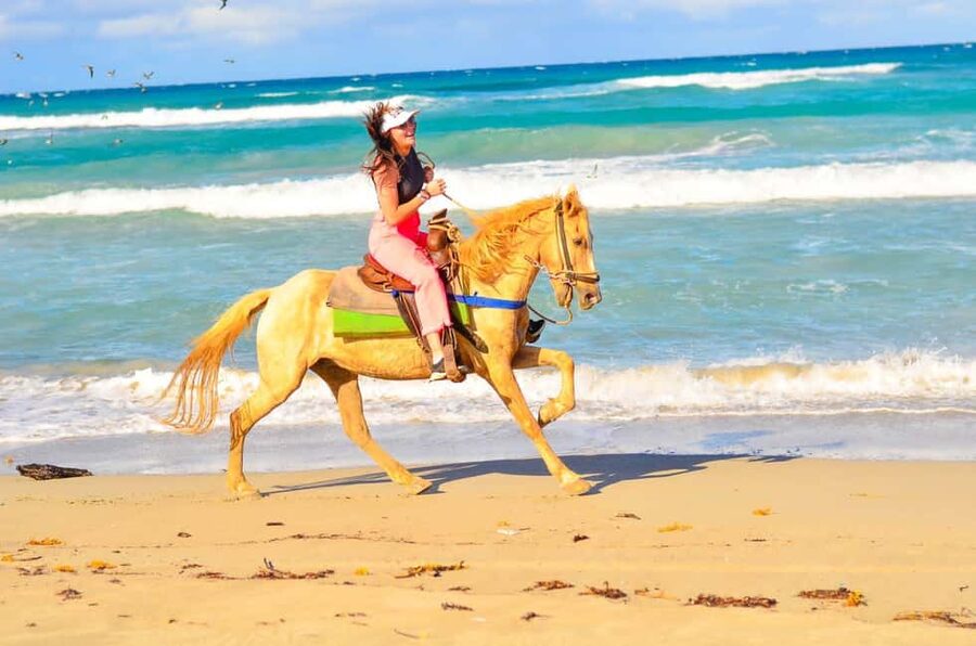 Punta Cana: Macao Beach & Forest Horseback Riding Tour - How much time are you really on the horse?