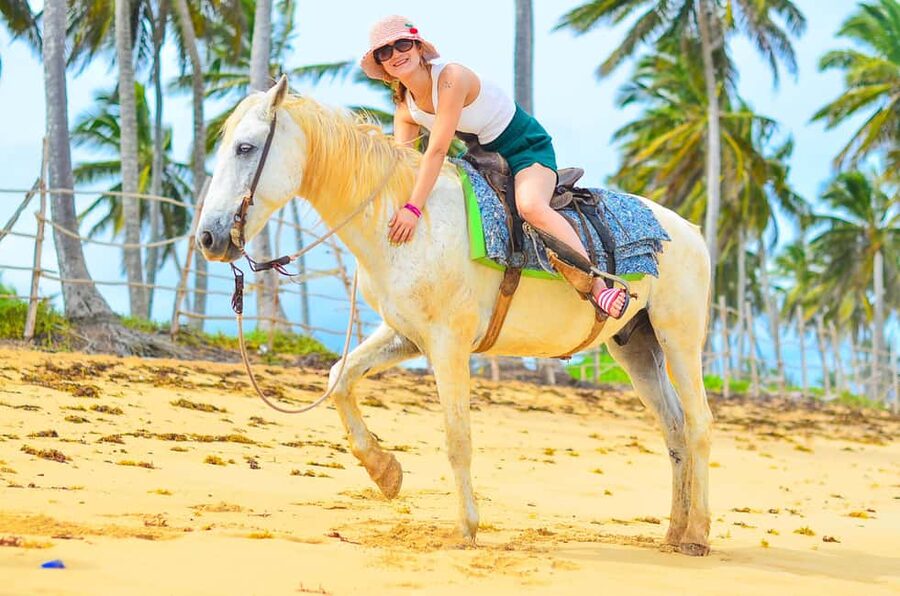 Punta Cana: Macao Beach & Forest Horseback Riding Tour - Transport score: why “getting there right” is part of the value