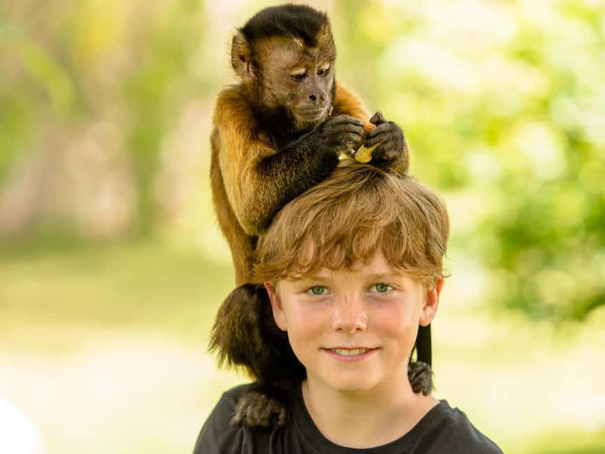 Punta Cana: Monkey Adventure by Jhoraji With Hotel Pick-Up - Monkey Time in Punta Cana: What You Really Get in 3 Hours