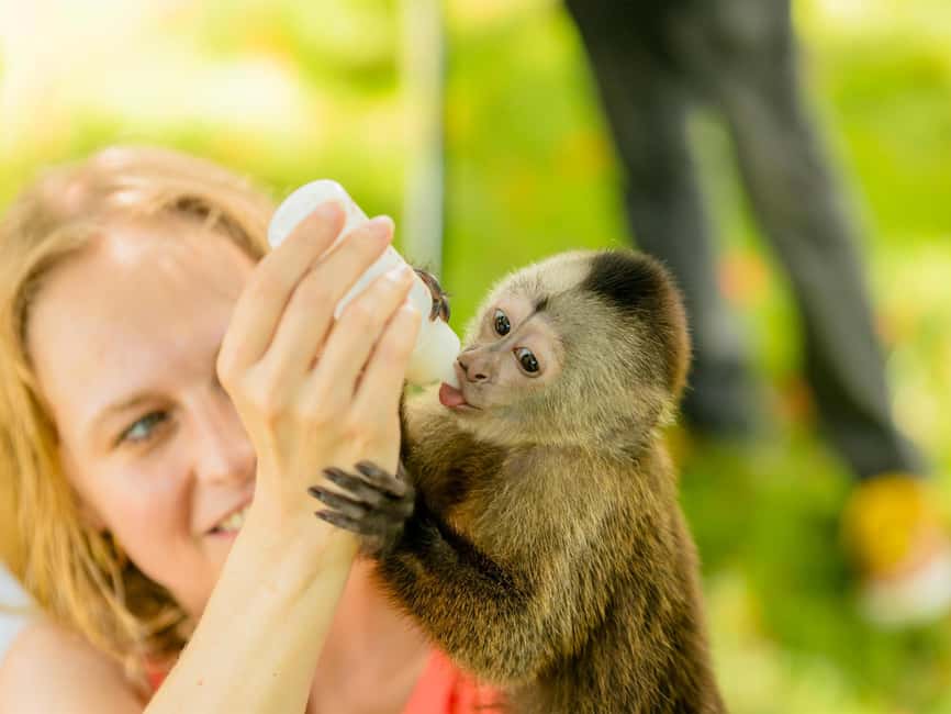 Punta Cana: Monkey Adventure by Jhoraji With Hotel Pick-Up - Bottle Feeding: The Moment Most People Come for