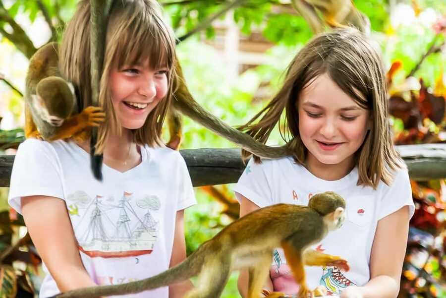 Punta Cana: Monkey Land Half-Day Safari and Plantation - MonkeyLand squirrel monkeys: why that 45 minutes matters