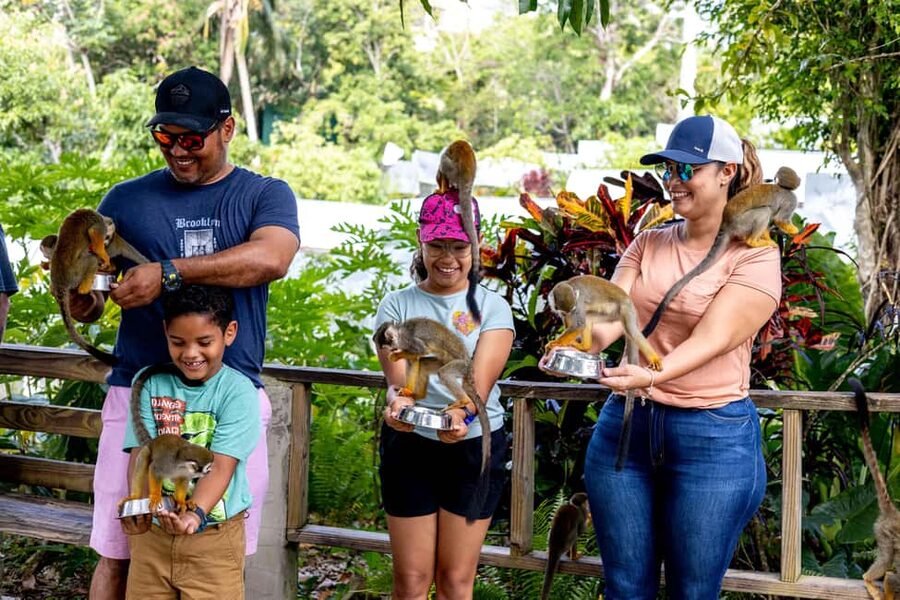 Punta Cana: Monkey Land Half-Day Safari and Plantation - The drive from Punta Cana: pickup timing and scenic stops