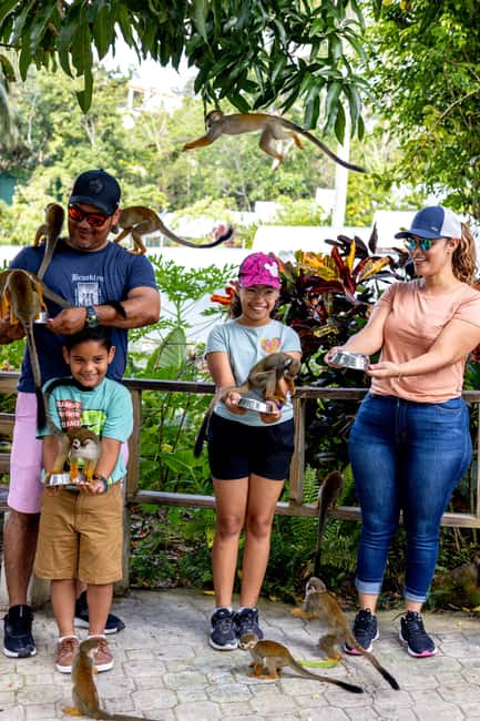 Punta Cana: Monkey Land Half-Day Safari and Plantation - Price and value: is $95 a fair deal?