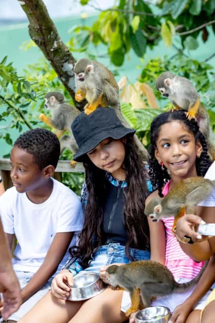 Punta Cana: Monkey Sanctuary Half-Day Tour - Key takeaways before you go