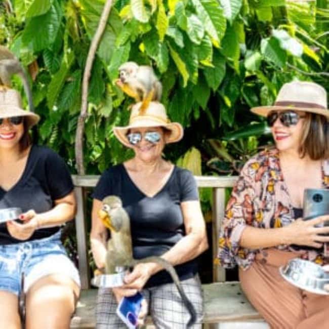 Punta Cana: Monkey Sanctuary Half-Day Tour - Monkey Sanctuary: what you’ll do, what you won’t do, and why it matters