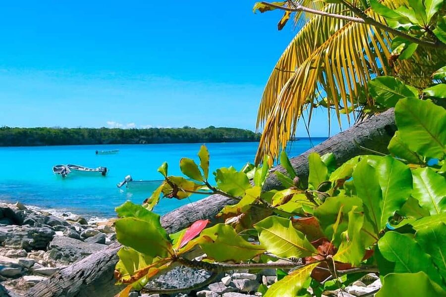 Punta Cana or La Romana: Catalina Island Tour and Snorkeling - Hotel Pickup to Catamaran Dock: The Day’s Timing and Flow