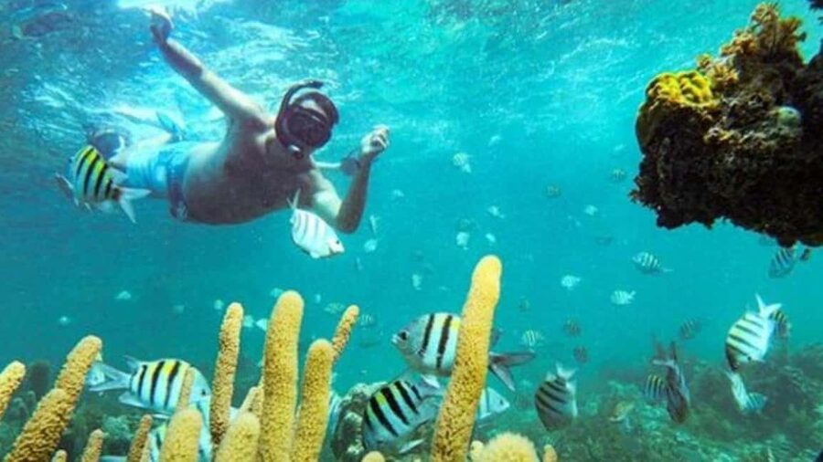 Punta Cana: Party Boat and Snorkeling Adventure - Hotel pickup and the timing that keeps things simple
