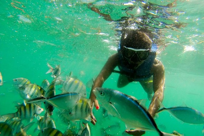 Punta Cana Party Boat Snorkeling with Music DJ and Open Bar - The Open Bar, Food on Board, and the Music Vibe