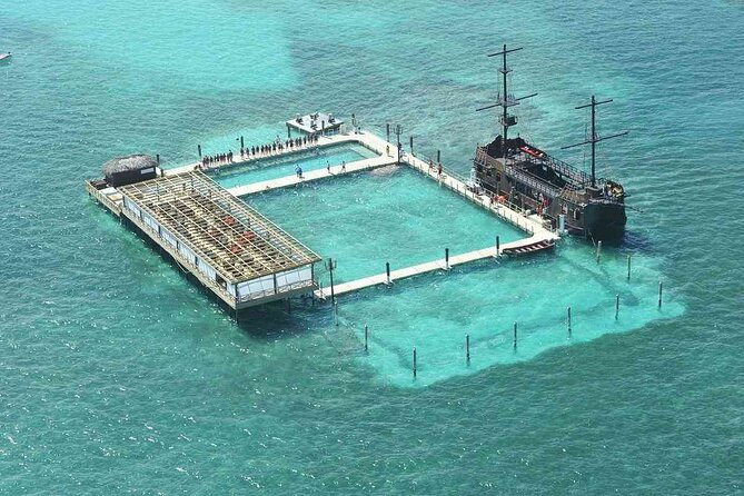 Punta Cana Pirate Ship and Snorkeling Adventure with Sharks - How the animals experience feels (and what to look for)
