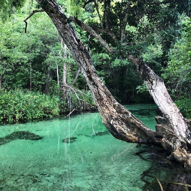 Punta Cana: Playa Rincon, Samana, & Cayo Levantado Day Trip - Key things to know before you go
