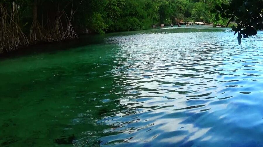 Punta Cana: Playa Rincon, Samana, & Cayo Levantado Day Trip - Should you book this Playa Rincon–Samana–Cayo Levantado day trip?