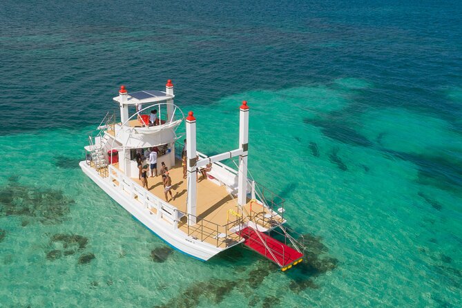 Punta Cana Private Boat (BBQ included) - The Water Slide and Snorkeling Gear: Activity Level and Practical Tips