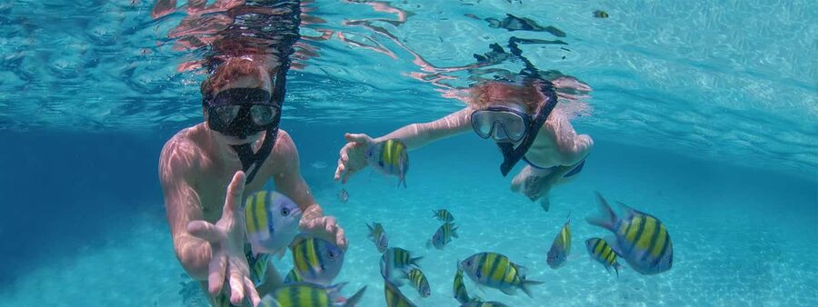 Punta Cana Private Catamaran (Small Group) - Booking tips so your 3 hours go smoothly