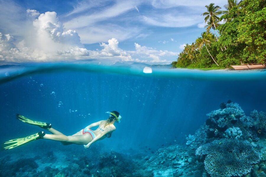 Punta Cana Private Catamaran (Small Group) - Reef snorkeling: quick training, included gear, and real-world conditions