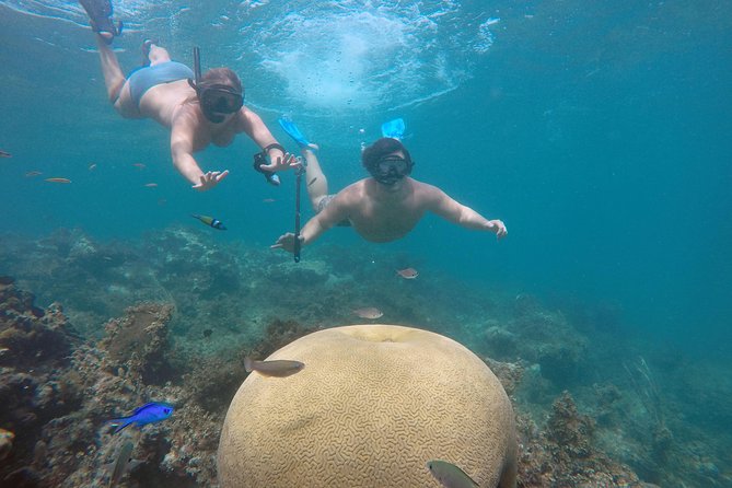 Punta Cana Private Cruise Up To 10 Snorkeling & Seafood lunch - Quick hits