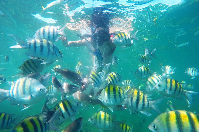 Punta Cana Private Cruise Up To 10 Snorkeling & Seafood lunch - From Punta Cana pick-up to catamaran: how the day stays smooth