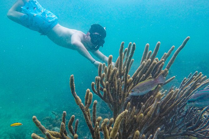 Punta Cana Private Cruise Up To 10 Snorkeling & Seafood lunch - Natural pools with about 4 feet of water: fun that scales from beginner to confident