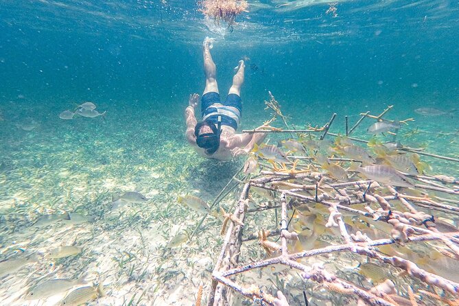 Punta Cana Private Cruise Up To 10 Snorkeling & Seafood lunch - Floating Kitchen seafood lunch: why this is the main meal worth waiting for