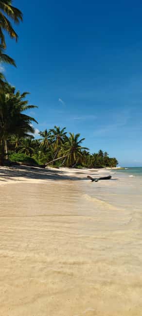 Punta Cana : Private yacht Snorkeling, Lagoon and Wild Beach - Meeting at Jellyfish Beach and Getting the Timing Right