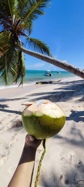 Punta Cana : Private yacht Snorkeling, Lagoon and Wild Beach - Weather, Sea Conditions, and Who Should Skip This