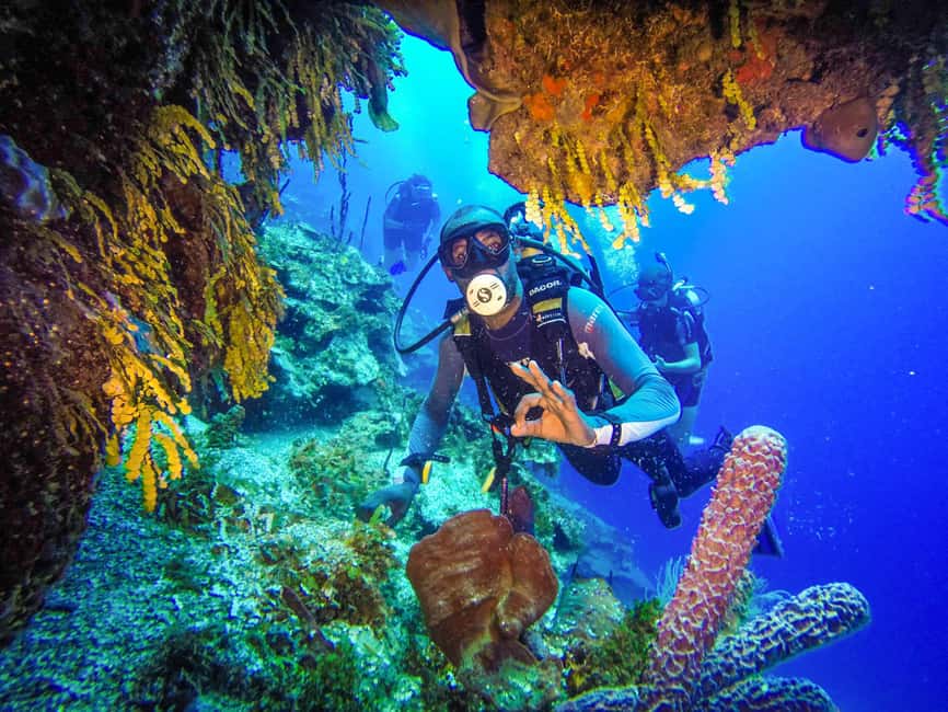 Punta Cana: Reef Diving Adventure Explore Underwater Wonders - Reef time in Punta Cana: the 5-hour rhythm