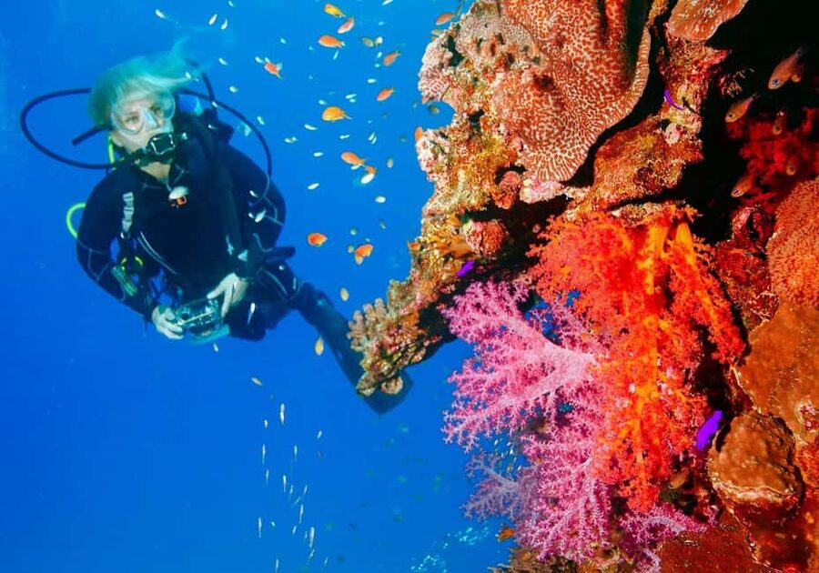 Punta Cana: Reef Diving Adventure Explore Underwater Wonders - The instructor factor: calm coaching and solid guidance