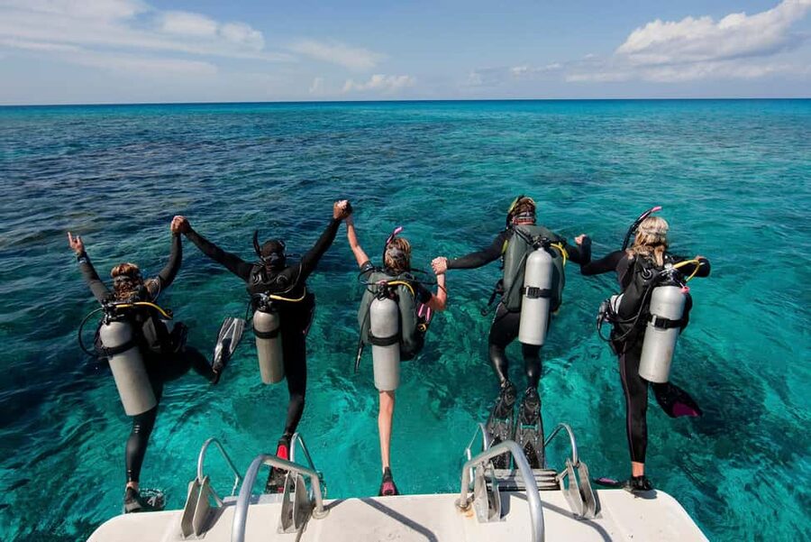 Punta Cana: Reef Diving Adventure Explore Underwater Wonders - What you’ll see: coral reefs, sea turtles, and colorful fish