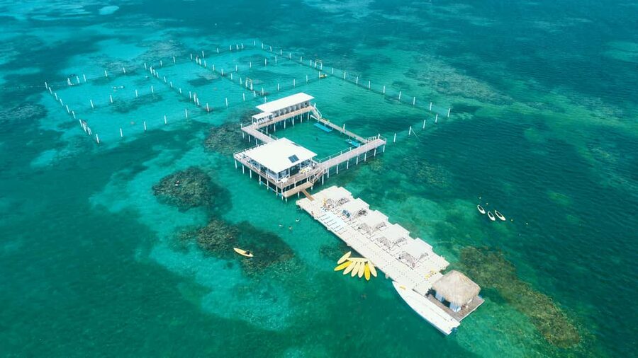 Punta Cana: Reef Explorer Access w/ Sharks & Stingrays Swim - Entering La Altagracia: how the day starts and where you’ll land