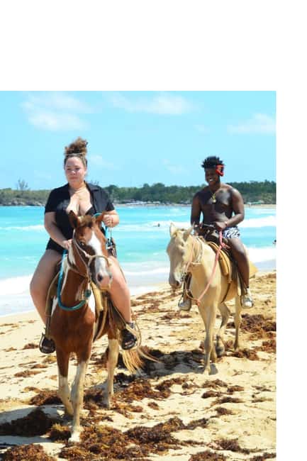 Punta Cana’s Best Sunset Horse Ride - Pickup Timing and What the Transfers Feel Like