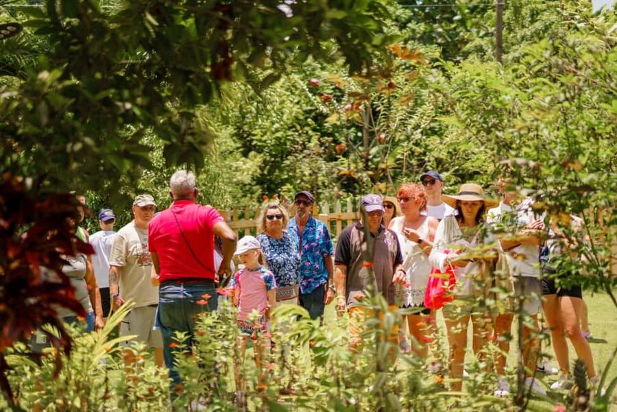 Punta Cana safari experience and historical city tour - Rural nature photo stops and the drive that actually teaches you something
