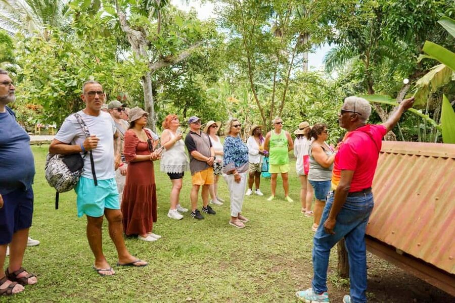 Punta Cana safari experience and historical city tour - Who this tour is best for (and who should pick something else)