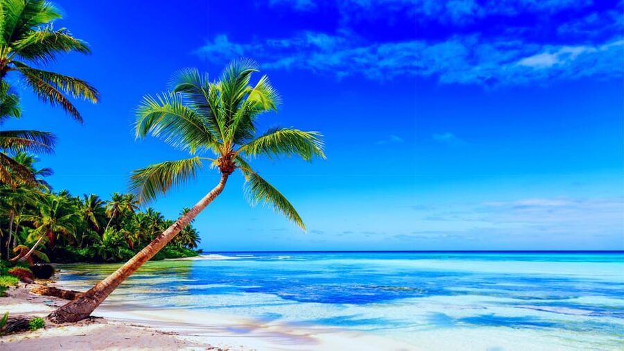 Punta Cana: Samaná Day Tour with Horse Ride and Cruise - Terrenas and the Whale Theme: How to Think About It