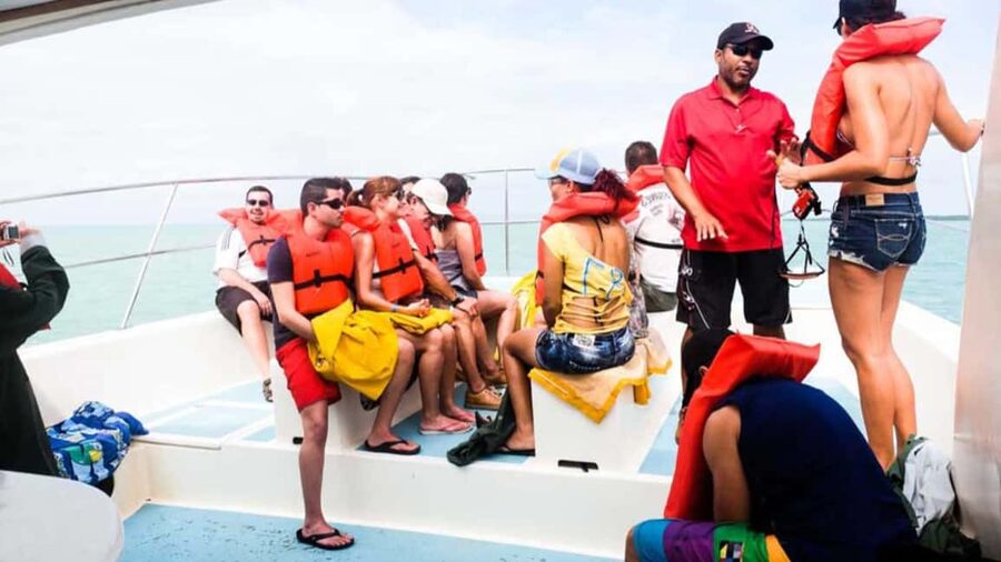 Punta Cana: Samana Full Day Trip Whale Cascada El Limon - Punta Cana morning to Samaná water time: marine views with guided commentary