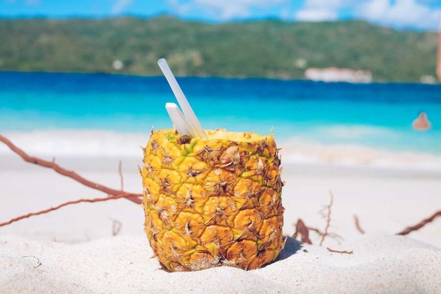 Punta Cana: Samana Full Day Trip Whale Cascada El Limon - Las Canitas village stop: culture time between big sights