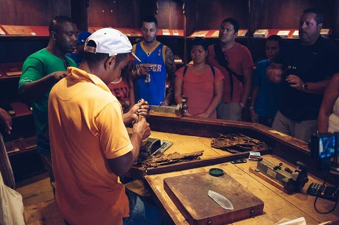 Punta Cana: Samaná, Lemon Falls and Bacardi Island - Price and value: is $135 a good deal?