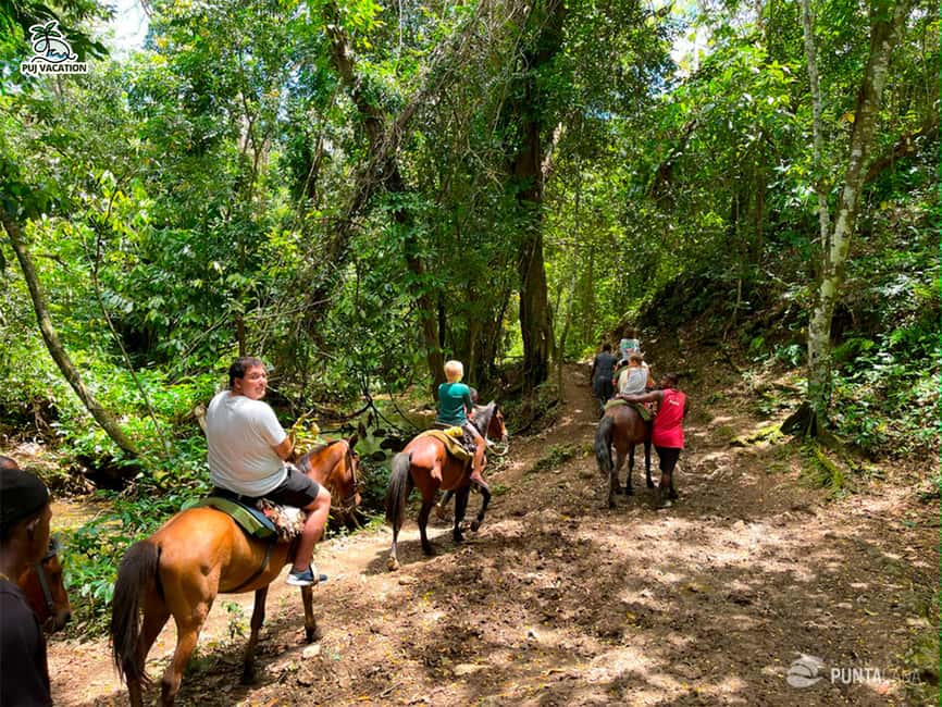 Punta Cana: Samana safari between waterfalls and beaches - Punta Cana to Samaná: why this tour feels like a real change