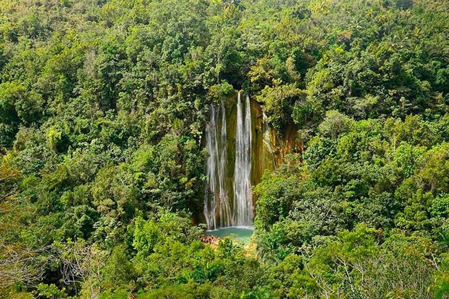 Punta Cana: Samaná Whale Watching, Bacardi & Limon Falls - Humpback whales in mating season: how to make the most of the boat time
